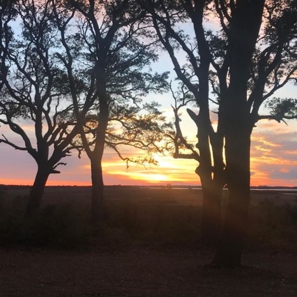 Meet your Posher, Kristy - Picture 1 of 1